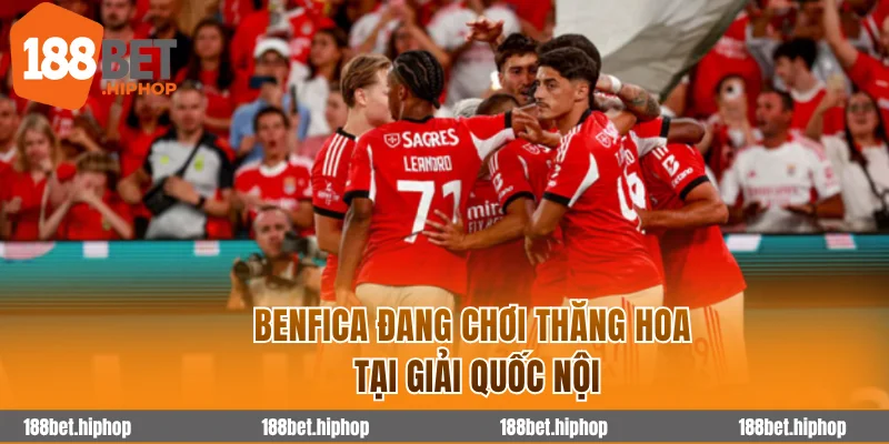 Soi Kèo Benfica Vs Leverkusen 3h00 06/11 - Cúp C1 Châu Âu 2025/26 2 Benfica đang chơi thăng hoa tại giải quốc nội